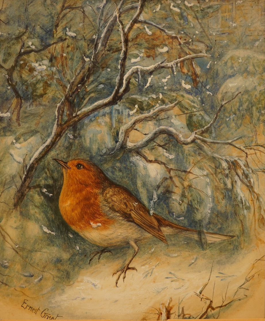 Ernest Griset (French, 1843-1907), study of a robin in winter, signed, watercolour heightened with white, 22 x 19cm